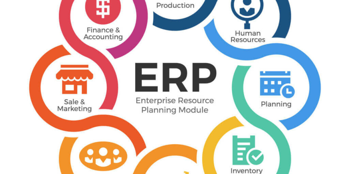 ERP Software Market: Growth, Trends, and Future Outlook